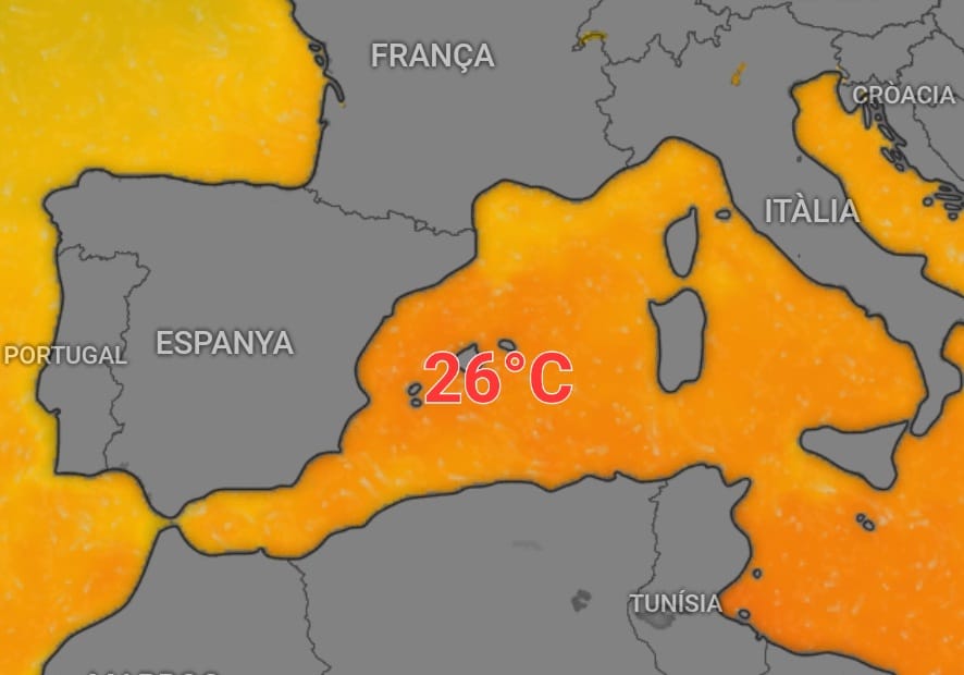 🔴Octubre‼️ Un mar Mediterrani a 26°C i una possible vaguada el més important 👀👀👀🍂🍂🍂🌥🌤☀️🌧⛈️