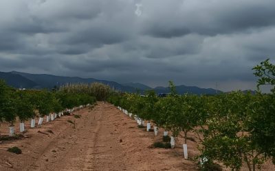 Van acabant-se les tempestes. I ara que?