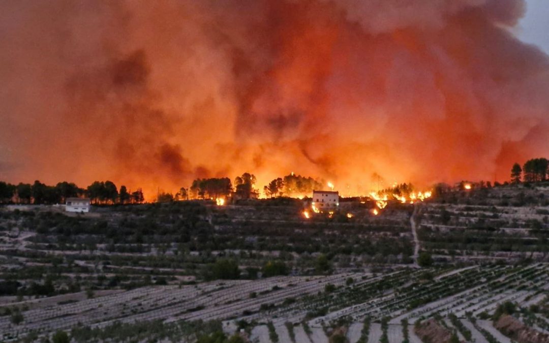 🔴ÚLTIMA HORA: Onada de calor, atenció hui i demà situació de temperatures inclús extrema🔥🥵🔥🔥