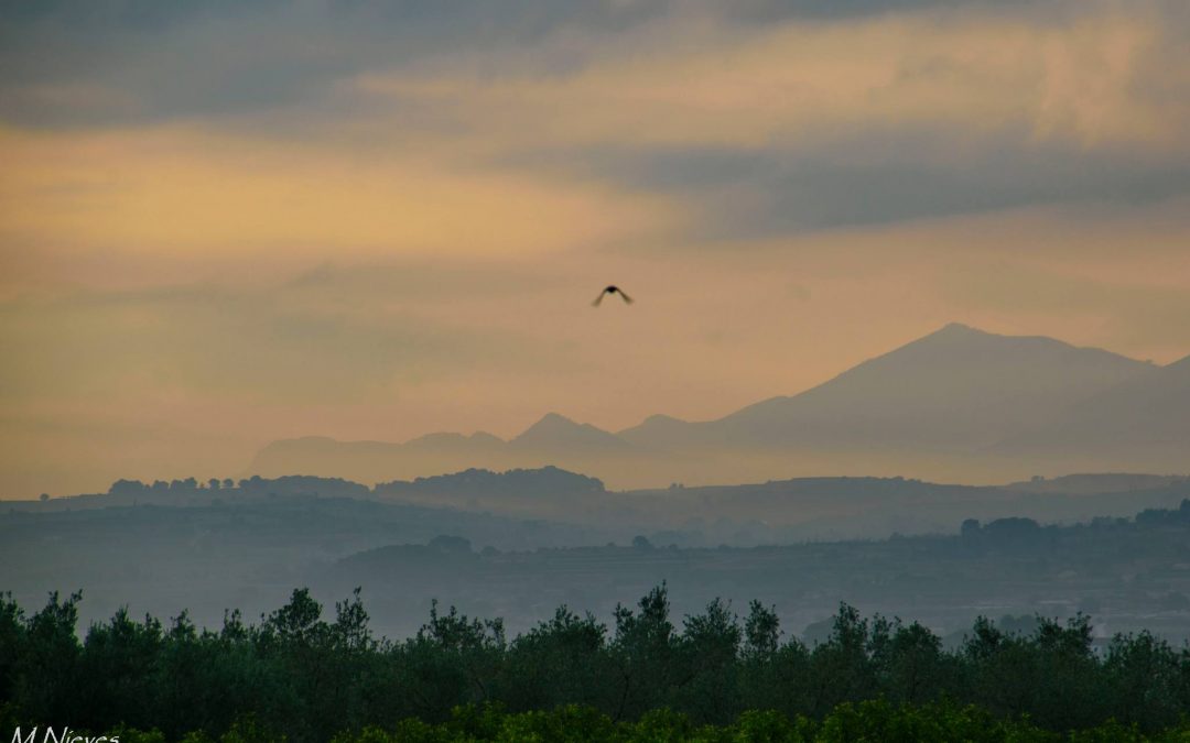 Actualitza l’Europeu i veu  algunes coses per a la pròxima setmana, però?🤦🔥🥵⛈️⚡️