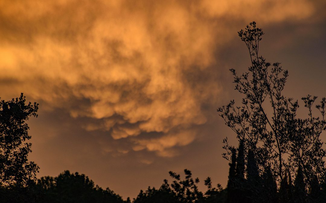 Vaguada i tempestes el diumenge.