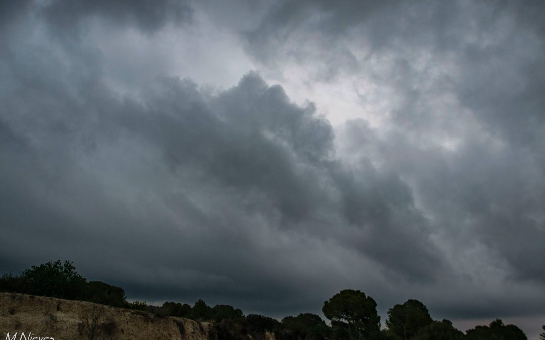 La pròxima setmana una D.A.N.A anirà bambant pel Mediterrani.