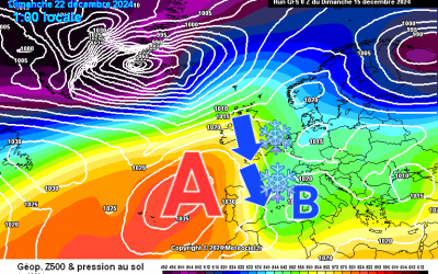 De nou quin fred fa!! Tendències de Nadal que ens fan mirar de reüll 👀🔵🥶❄️