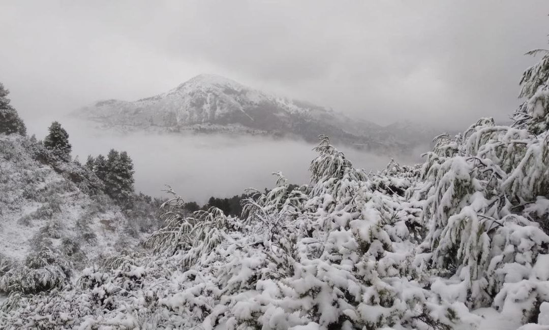 Atents!! Comença el temporal de pluja i neu.