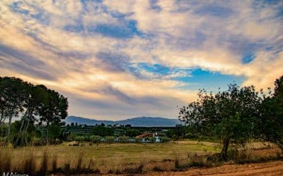 Es va confirmant un temporal de vent a partir de dilluns.