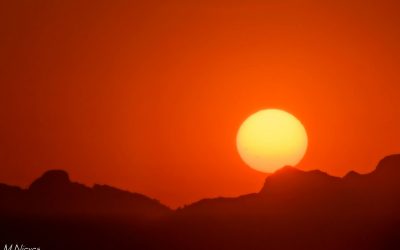 Atents!! Les previsions no son gens òptimises, calor per avorrir, amb algunes tempestes.
