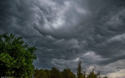 Vigilem un embossament que podrà portar tempestes més importants a partir de divendres.