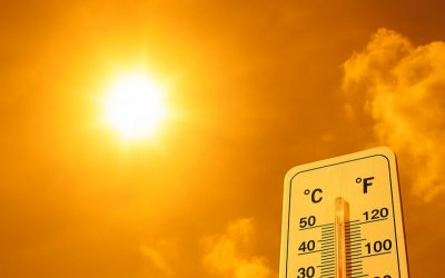 La calor no afluixarà, al contrari, la pròxima setmana…..