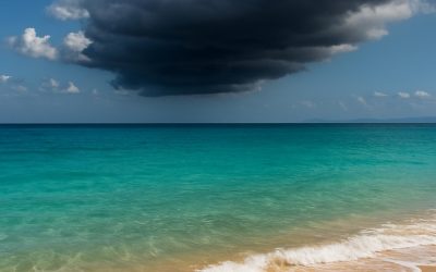 “Mediterrani encés, calor que no s’apaga”